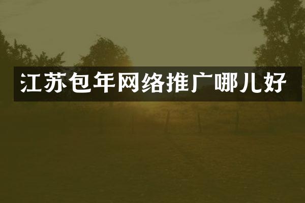江苏包年网络推广哪儿好