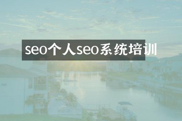 seo个人seo系统培训
