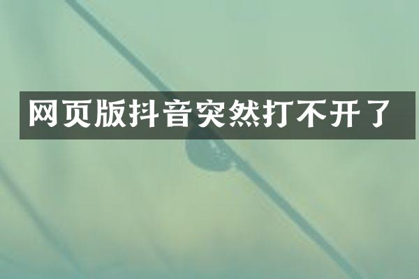 网页版抖音突然打不开了