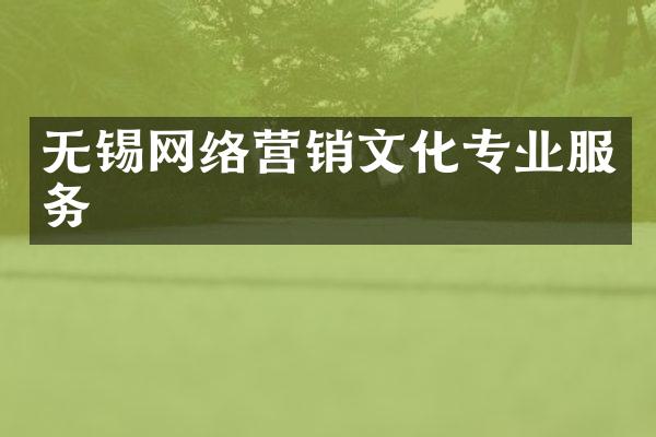 无锡网络营销文化专业服务