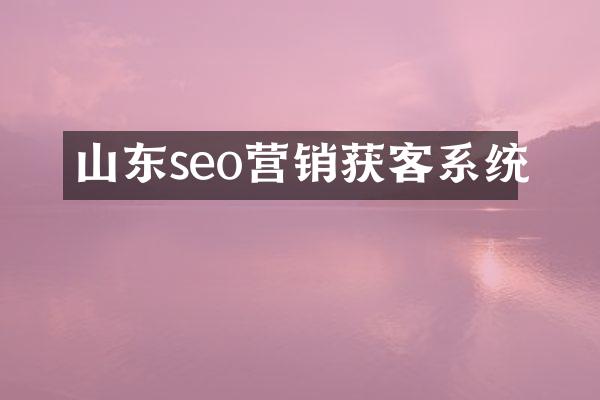 山东seo营销获客系统