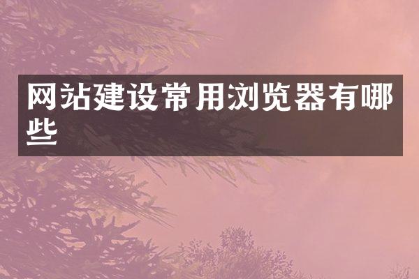 网站建设常用浏览器有哪些