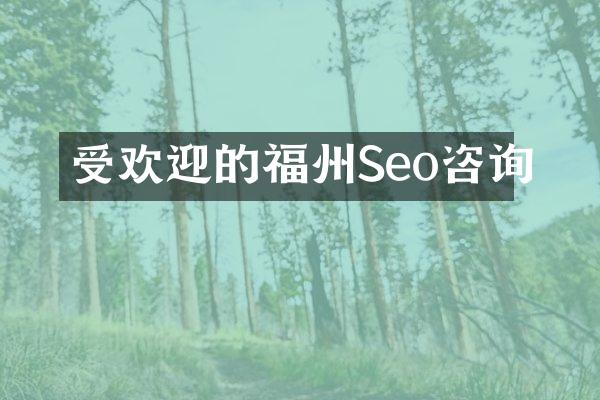受欢迎的福州Seo咨询