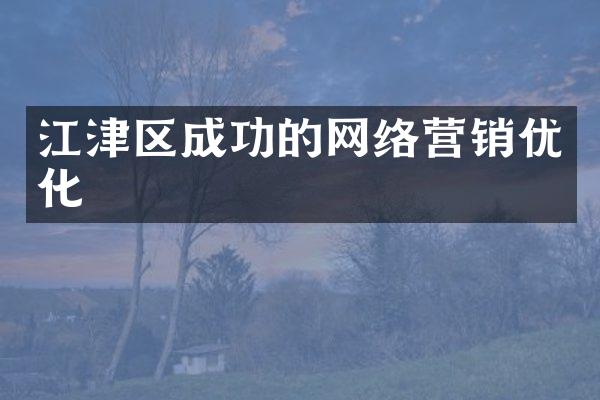 江津区成功的网络营销优化