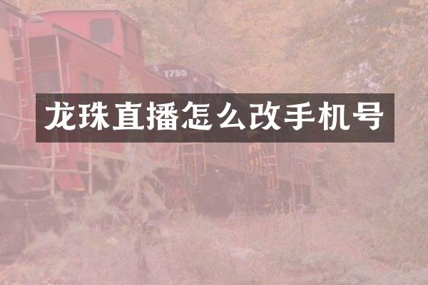 龙珠直播怎么改手机号