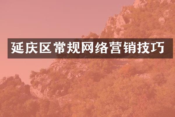延庆区常规网络营销技巧