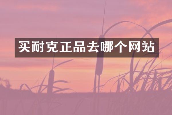 买耐克正品去哪个网站
