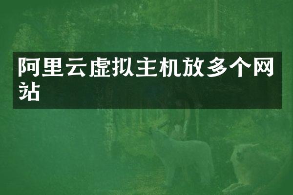 阿里云虚拟主机放多个网站