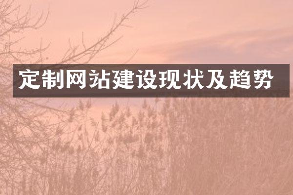 定制网站建设现状及趋势