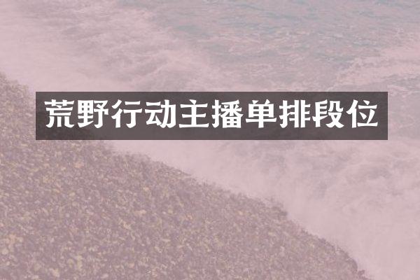 荒野行动主播单排段位