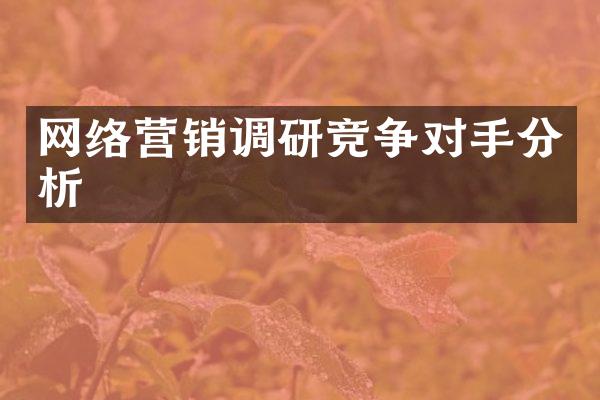 网络营销调研竞争对手分析