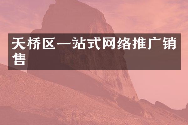 天桥区一站式网络推广销售