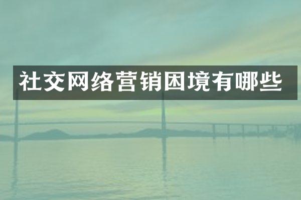 社交网络营销困境有哪些
