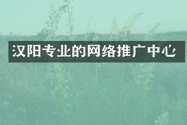 汉阳专业的网络推广中心