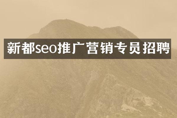新都seo推广营销专员招聘