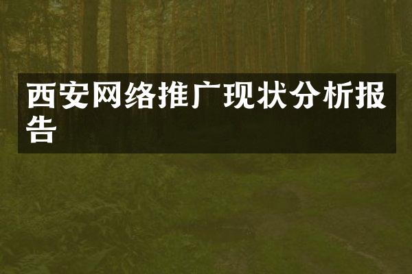 西安网络推广现状分析报告