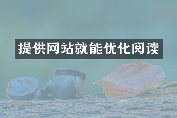 提供网站就能优化阅读