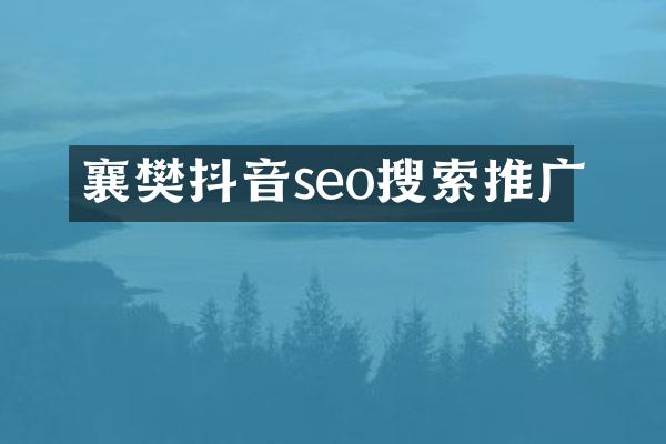 襄樊抖音seo搜索推广