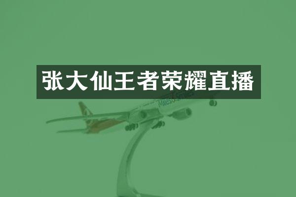 张大仙王者荣耀直播