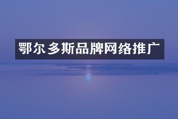 鄂尔多斯品牌网络推广