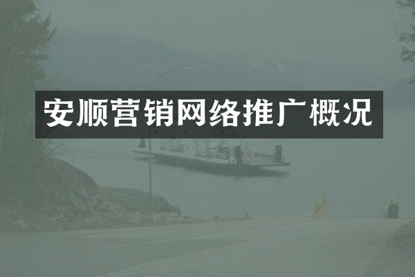 安顺营销网络推广概况
