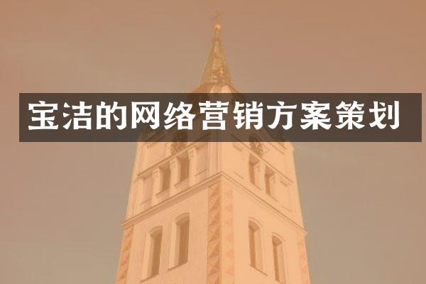 宝洁的网络营销方案策划
