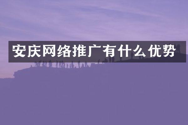 安庆网络推广有什么优势