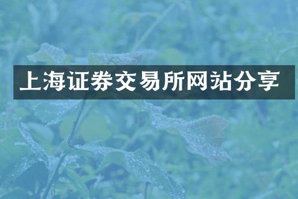 上海证券交易所网站分享