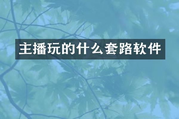 主播玩的什么套路软件