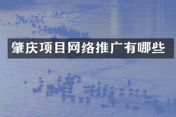 肇庆项目网络推广有哪些