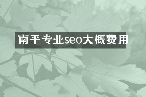 南平专业seo大概费用