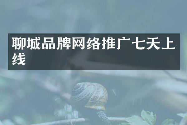 聊城品牌网络推广七天上线