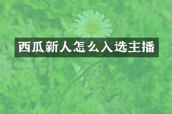 西瓜新人怎么入选主播