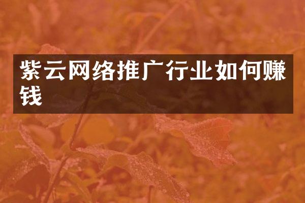 紫云网络推广行业如何赚钱