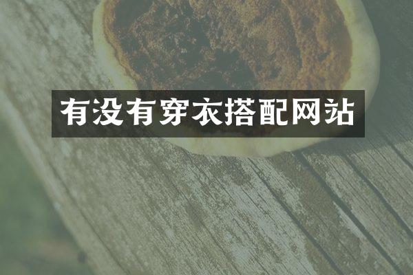 有没有穿衣搭配网站