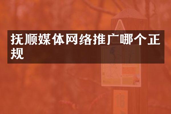 抚顺媒体网络推广哪个正规