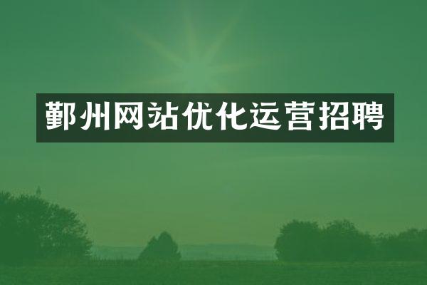 鄞州网站优化运营招聘