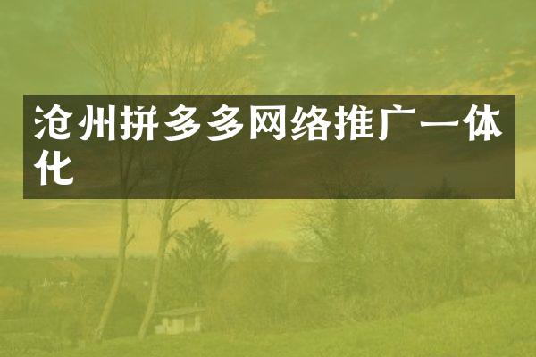 沧州拼多多网络推广一体化