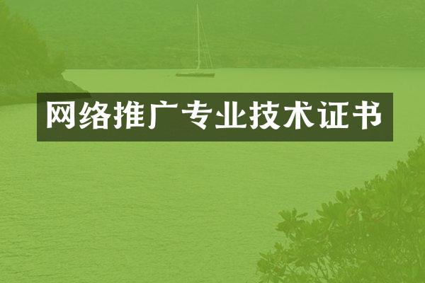 网络推广专业技术证书