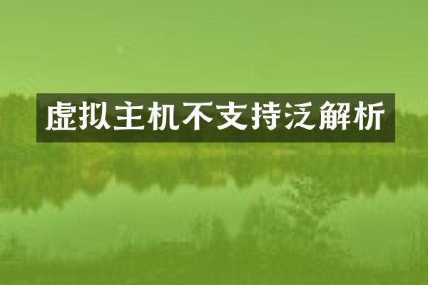 虚拟主机不支持泛解析