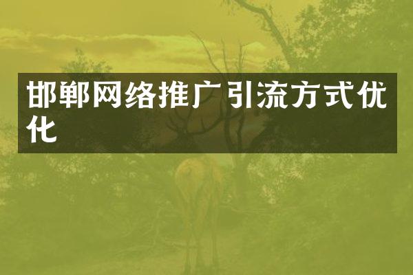 邯郸网络推广引流方式优化