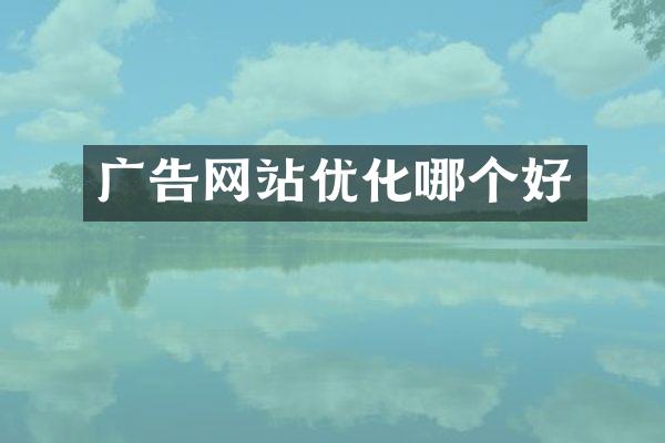 广告网站优化哪个好