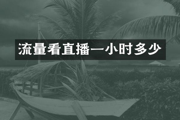 流量看直播一小时多少