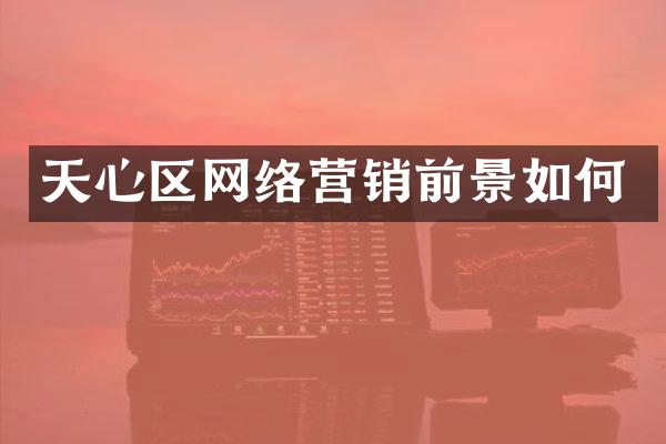 天心区网络营销前景如何