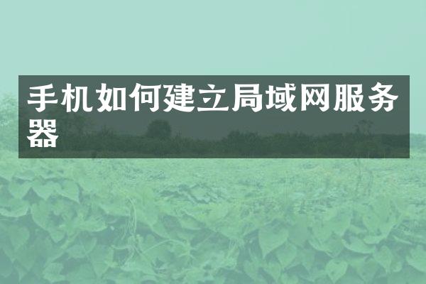 手机如何建立局域网服务器