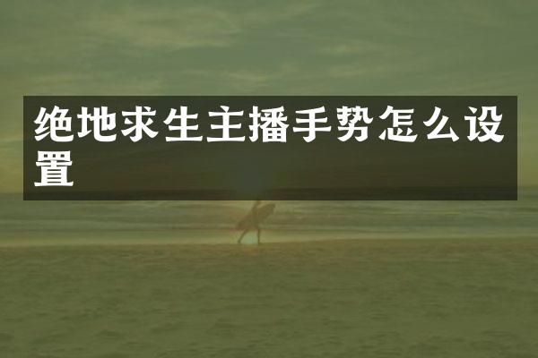 绝地求生主播手势怎么设置