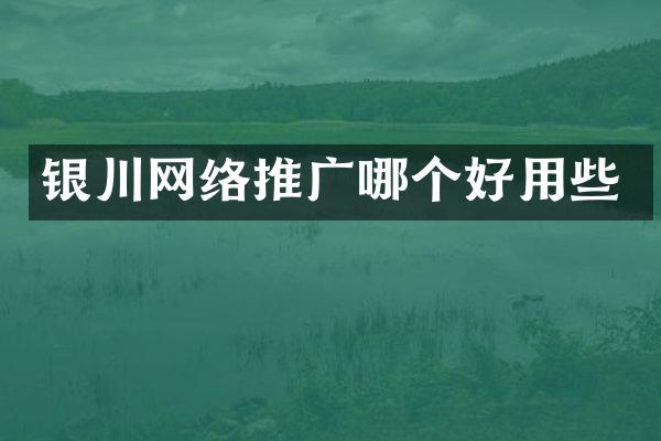 银川网络推广哪个好用些