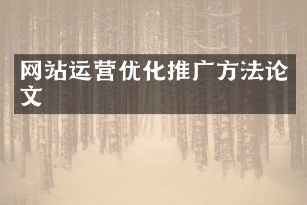 网站运营优化推广方法论文