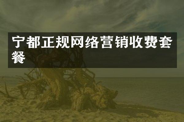 宁都正规网络营销收费套餐
