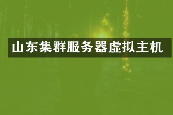 山东集群服务器虚拟主机
